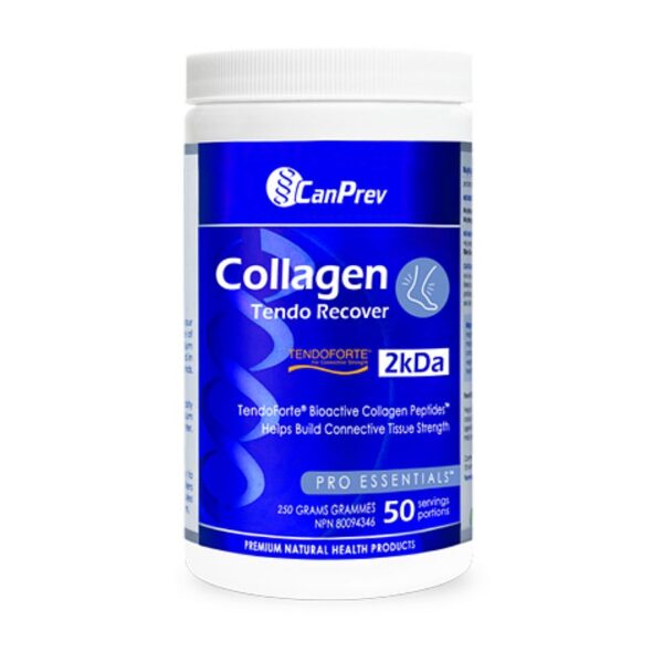 Collagen Tendo Recovery Powder 250g